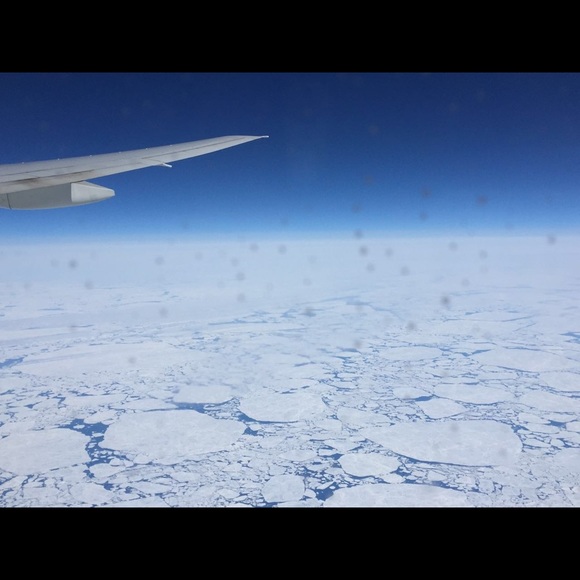 Meet your Posher, Jude - Picture 2 of 5